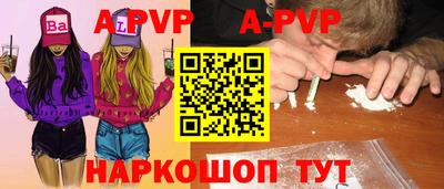 шишки Обь