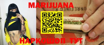 шишки Обь
