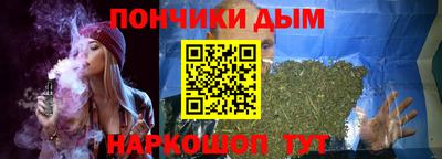 шишки Обь
