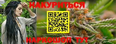 шишки Обь