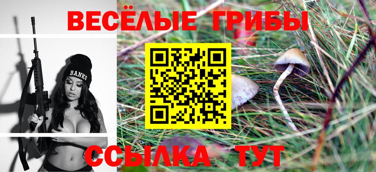 Заречный  Псилоцибиновые грибы ЛСД  Вход с VPN 