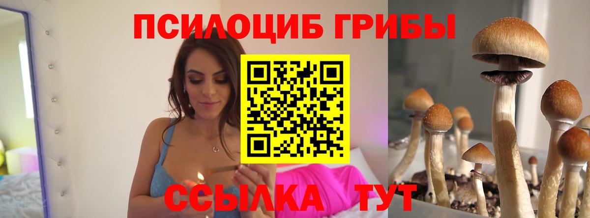 Псилоцибиновые грибы Psilocybine cubensis Заречный